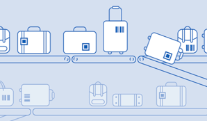 Amadeus Baggage Reconciliation System